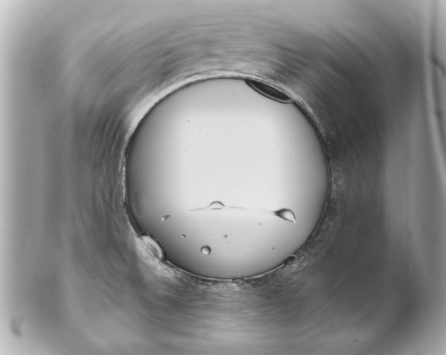 X0000101661524200807311424