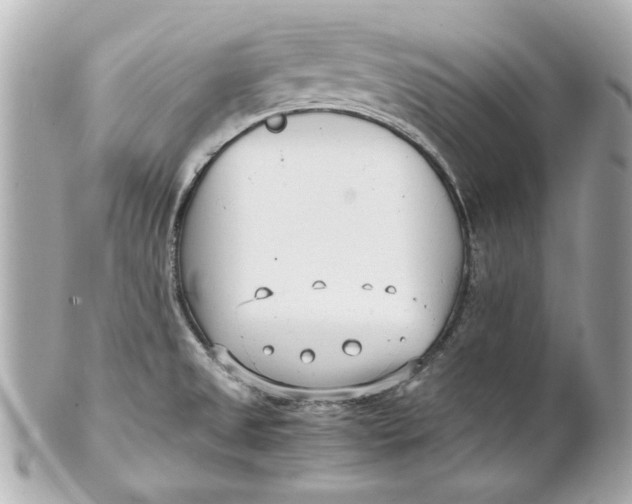 X0000101661525200807311424