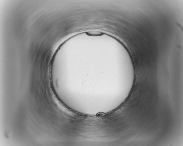 X0000101661526200807311424