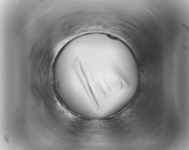 X0000101661527200807311424