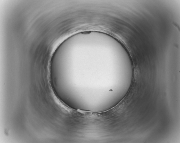 X0000101661528200807311424