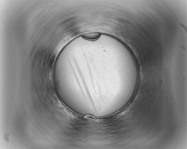 X0000101661529200807311424