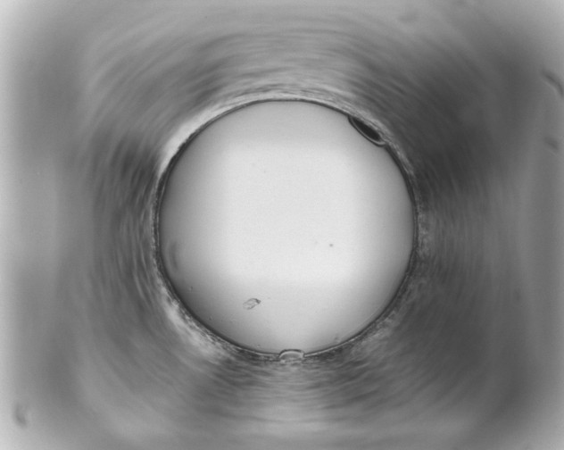 X0000101661530200807311424