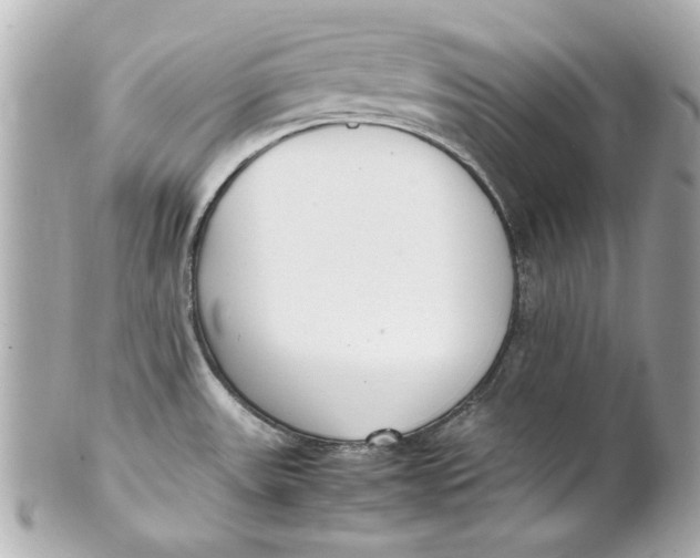 X0000101661531200807311424