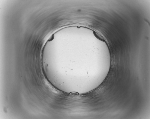 X0000101661532200807311424