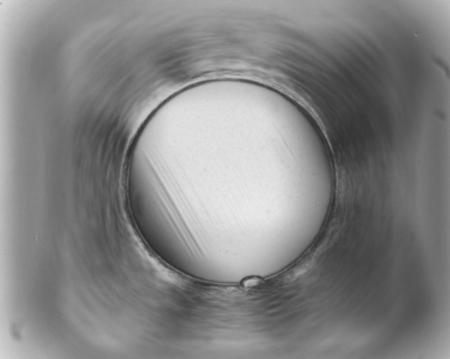 X0000101661533200807311424