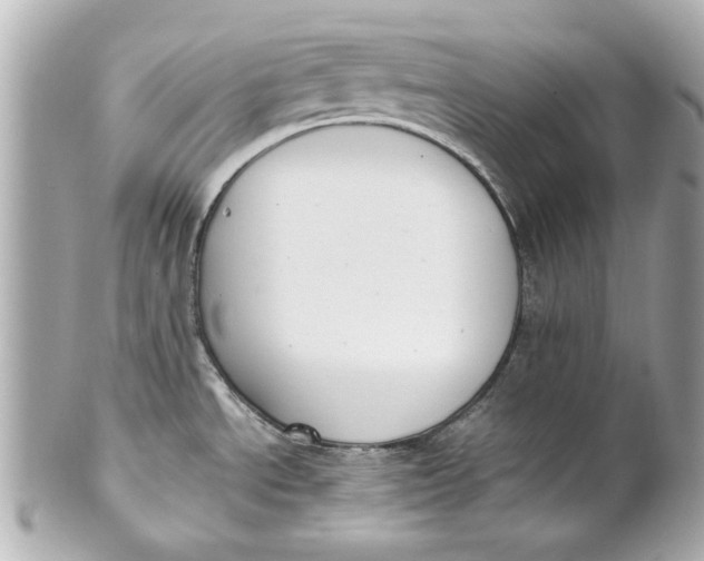 X0000101661534200807311424