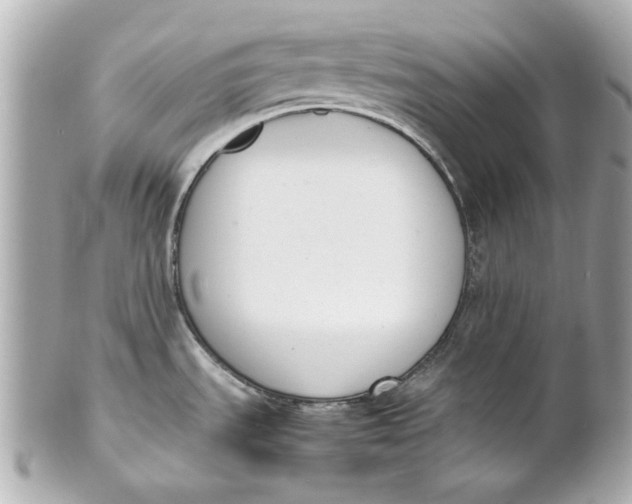 X0000101661535200807311424