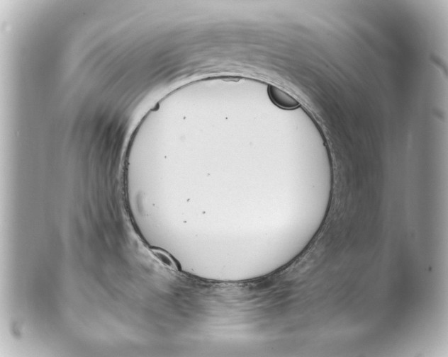 X0000101661536200807311424