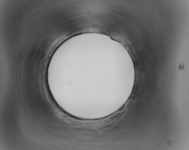 X0000101660001200808071032