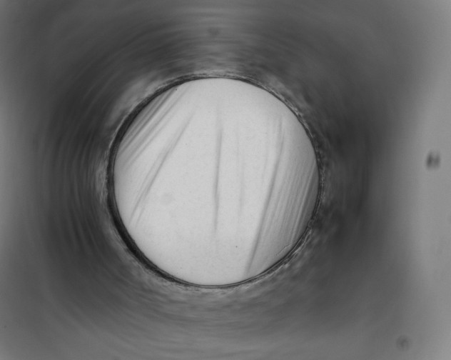 X0000101660002200808071032