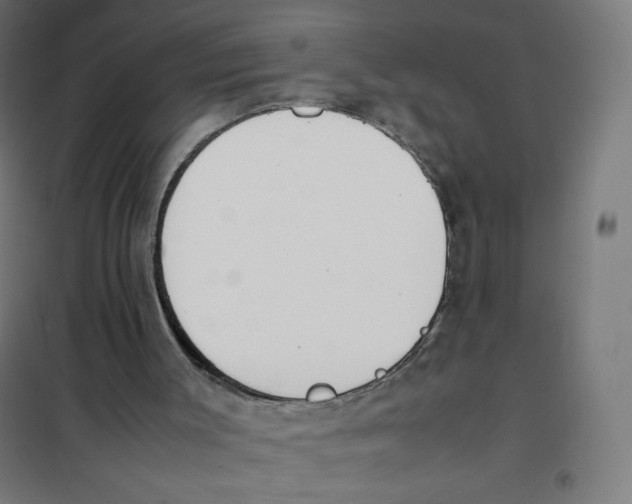 X0000101660003200808071032