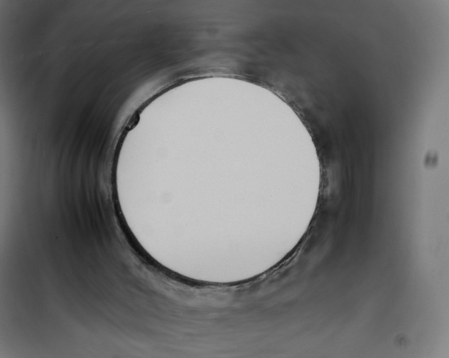 X0000101660004200808071032