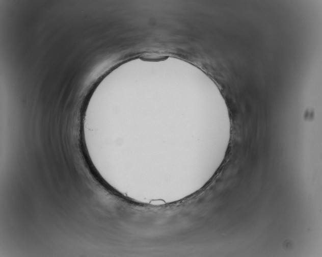 X0000101660005200808071032