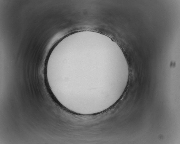 X0000101660006200808071032