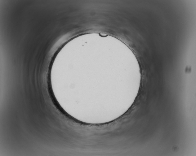 X0000101660007200808071032