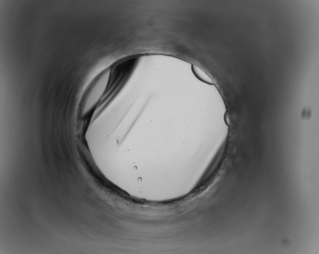 X0000101660008200808071032