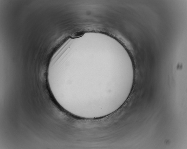X0000101660009200808071032