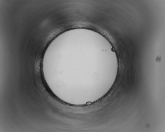 X0000101660010200808071031