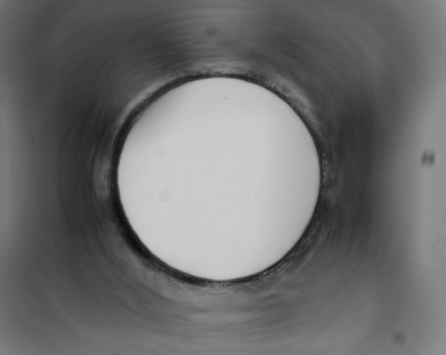 X0000101660012200808071031