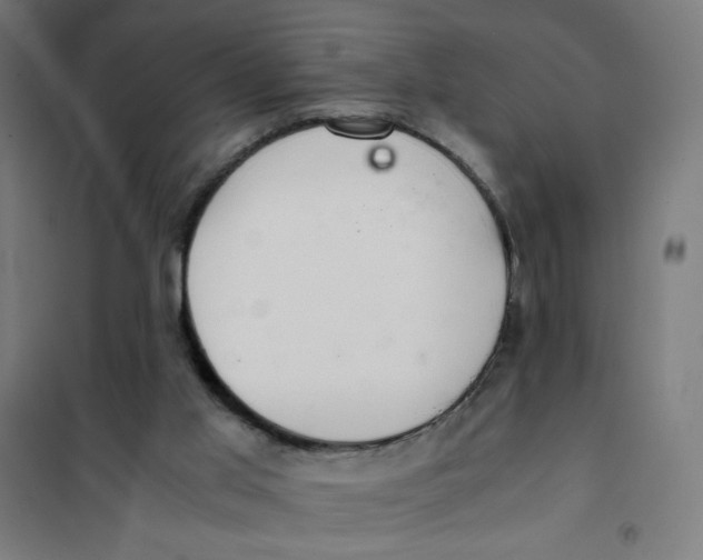 X0000101660013200808071031