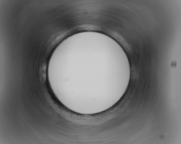 X0000101660014200808071031