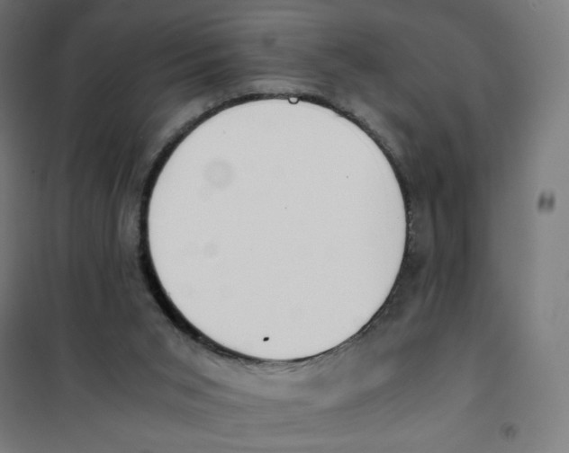 X0000101660015200808071031