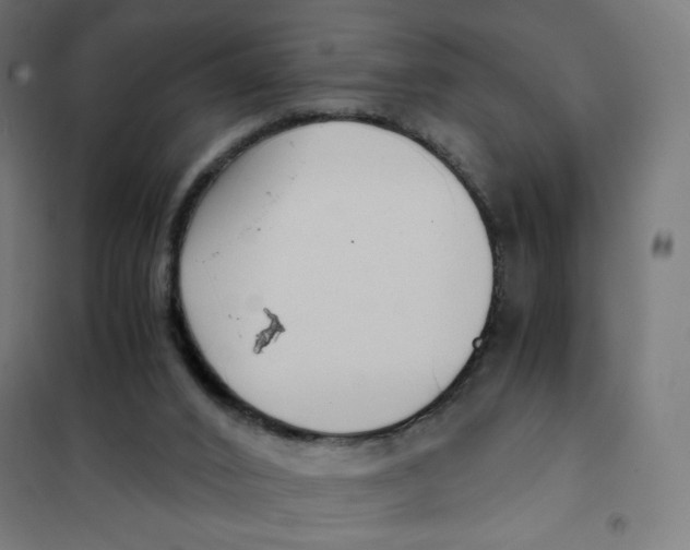X0000101660016200808071031