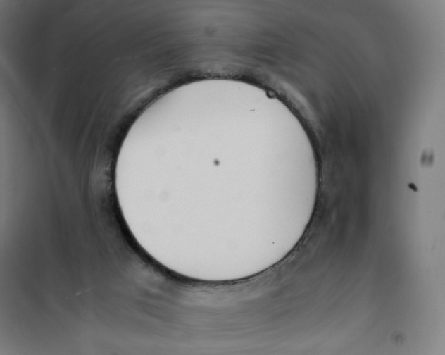 X0000101660017200808071031