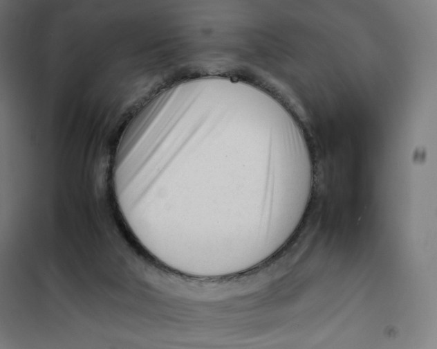 X0000101660018200808071031