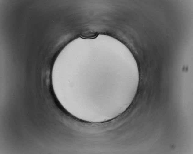 X0000101660019200808071031