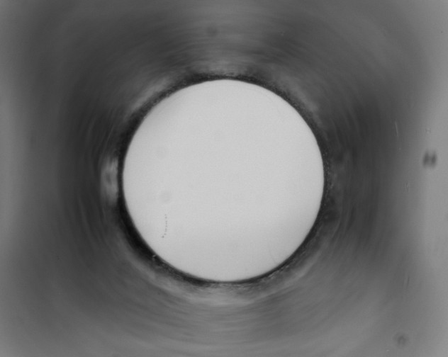 X0000101660020200808071031