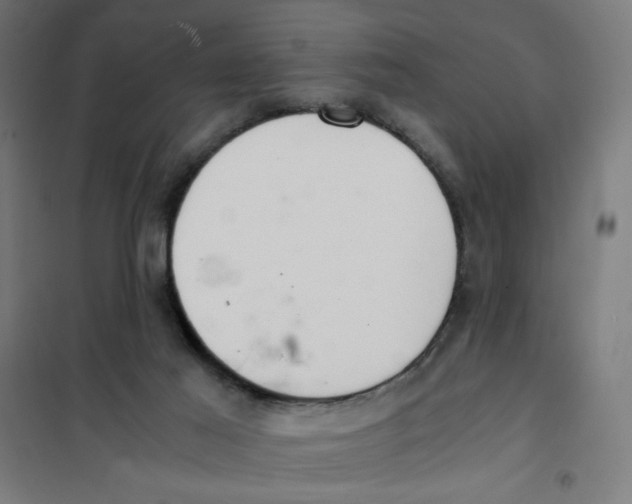 X0000101660021200808071031