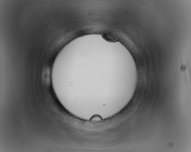 X0000101660022200808071031