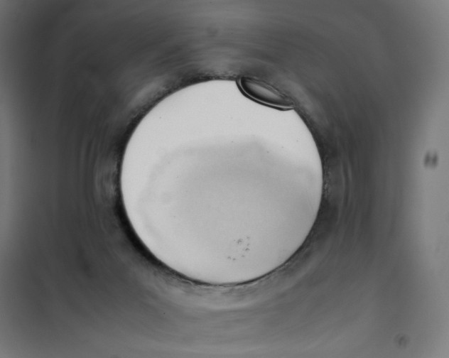 X0000101660023200808071031