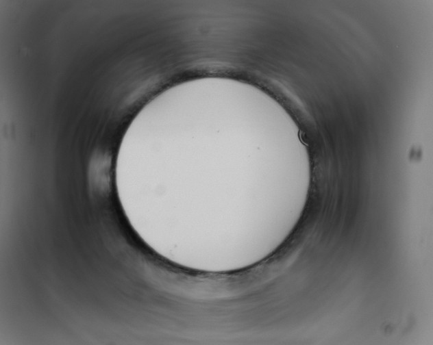 X0000101660024200808071031