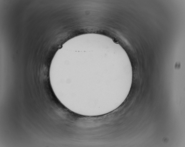 X0000101660025200808071031