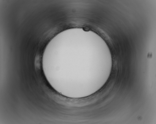 X0000101660026200808071031