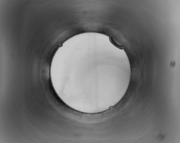 X0000101660027200808071031
