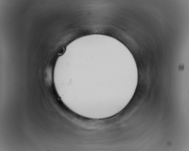 X0000101660028200808071031