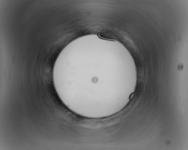 X0000101660029200808071031