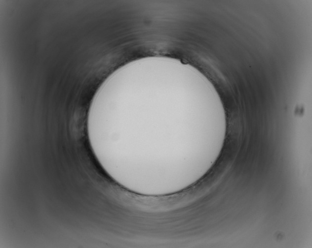 X0000101660030200808071031