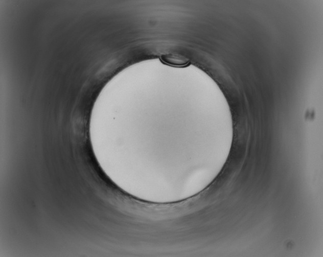 X0000101660031200808071031