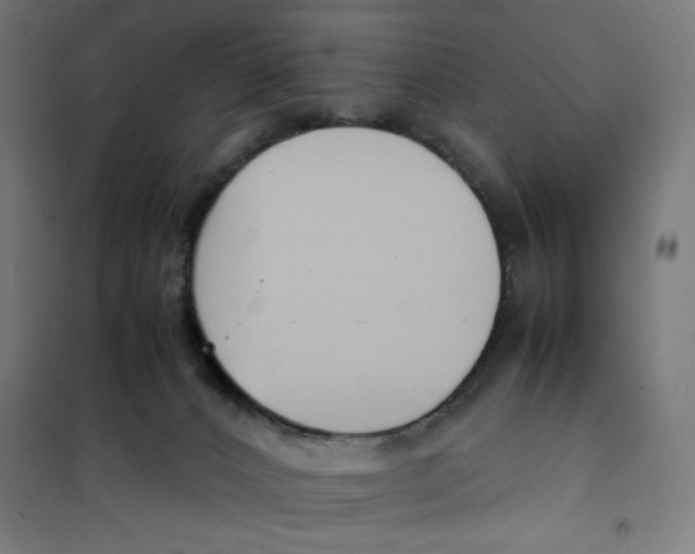 X0000101660032200808071031
