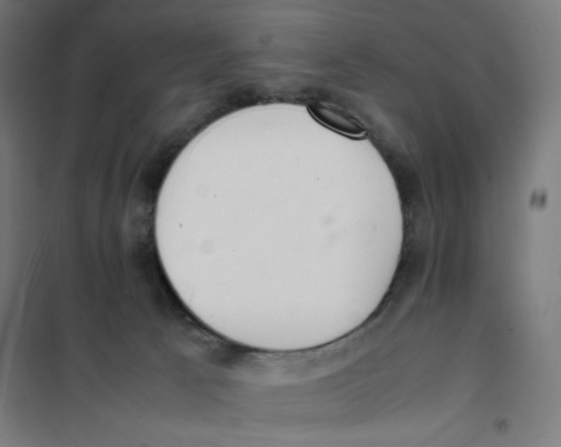 X0000101660033200808071031