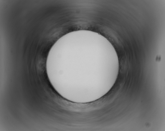 X0000101660034200808071031
