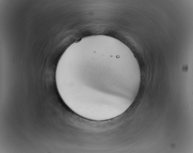 X0000101660035200808071031