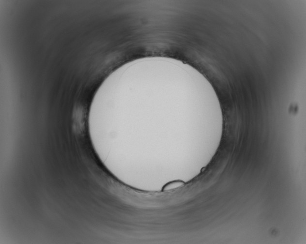 X0000101660038200808071031