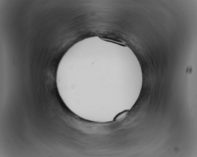 X0000101660040200808071031