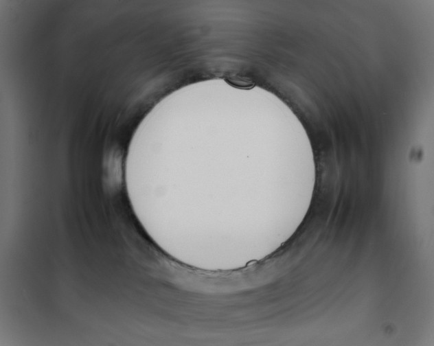 X0000101660042200808071031